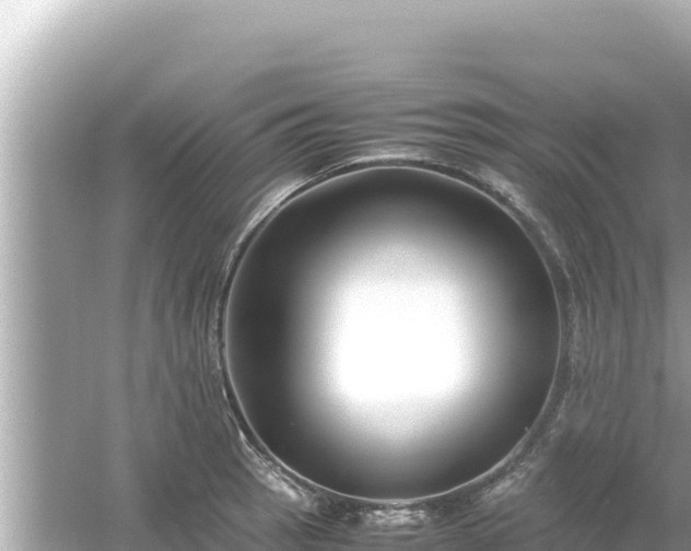 X0000054451137200508051918