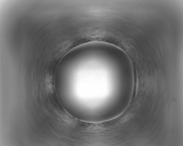 X0000054451156200508051917