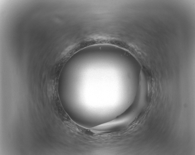X0000054451157200508051917