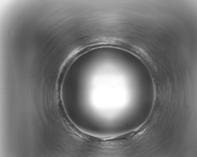 X0000054451172200508051917