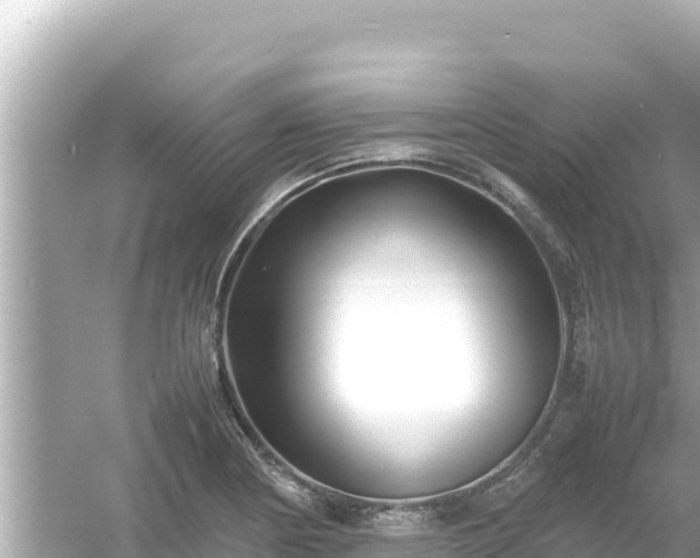 X0000054451178200508051917