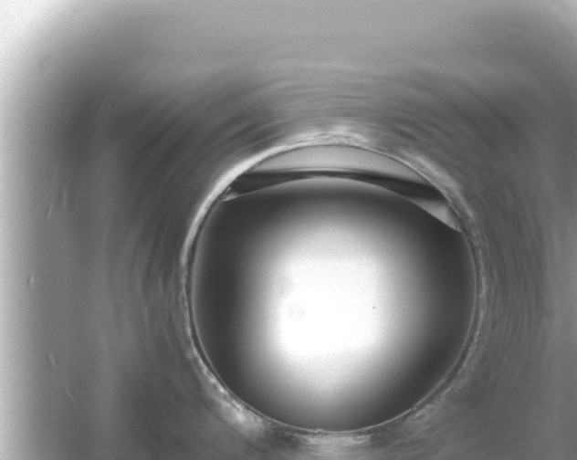 X0000054451200200508051916