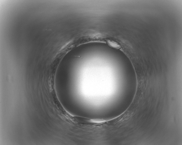 X0000054451205200508051916