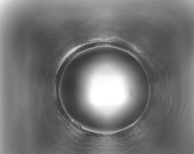 X0000054451214200508051916