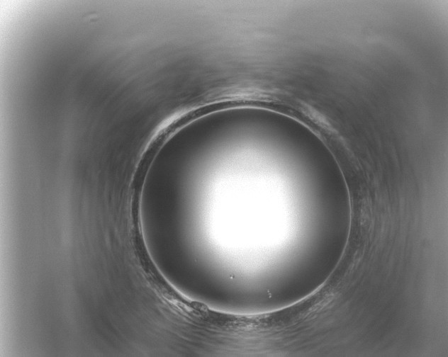 X0000054451222200508051916