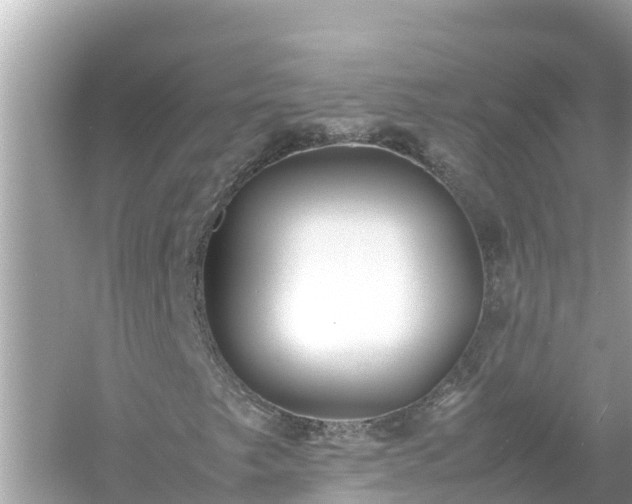 X0000054451249200508051916