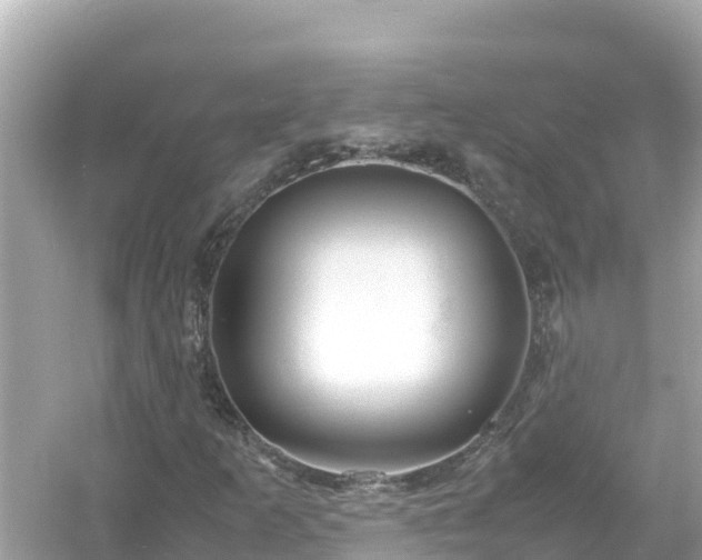 X0000054451253200508051916