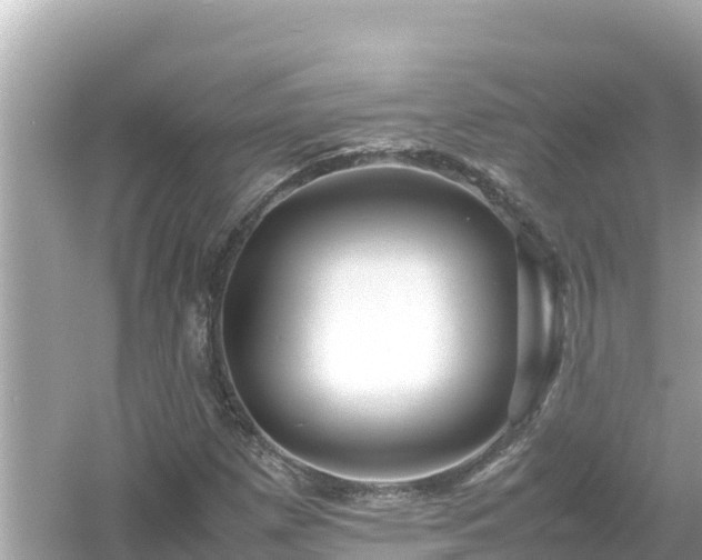 X0000054451257200508051916