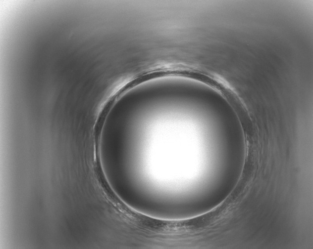 X0000054451269200508051915