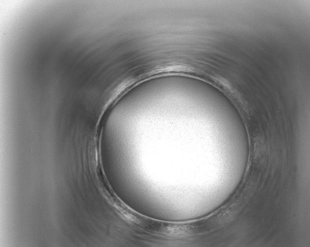 X0000054451274200508051915