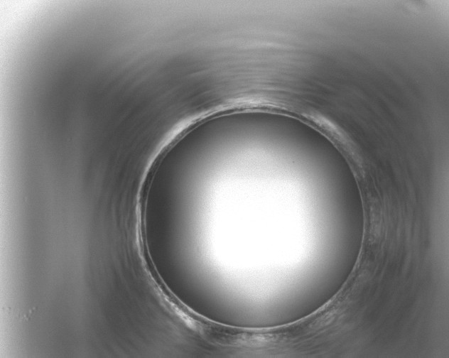 X0000054451286200508051915