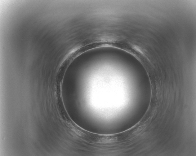 X0000054451307200508051914