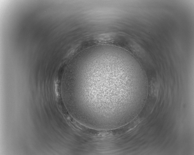 X0000054451346200508051914