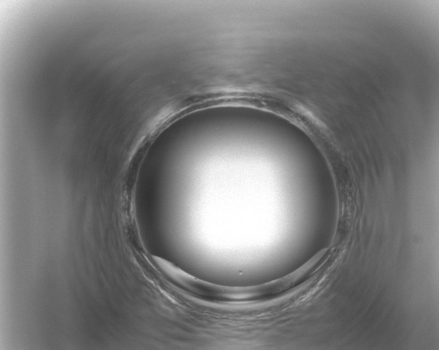 X0000054451357200508051914
