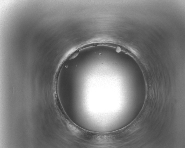 X0000054451366200508051914