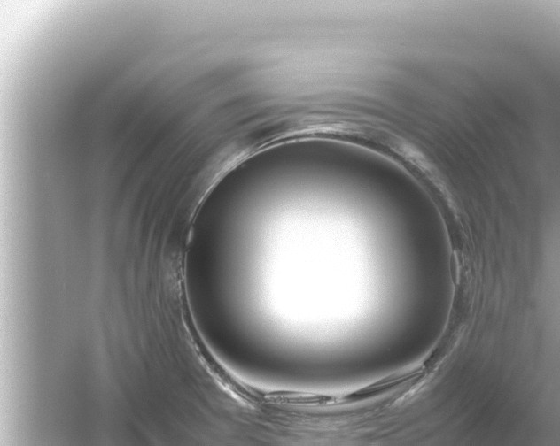 X0000054451377200508051913