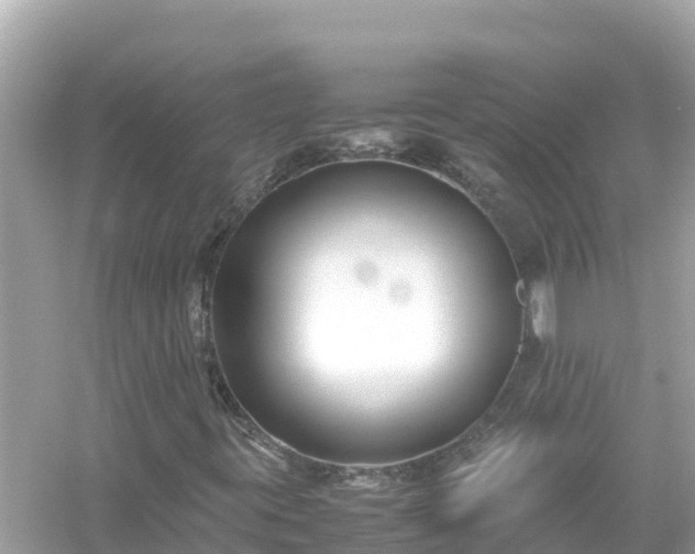 X0000054451395200508051912