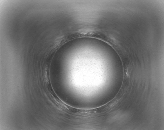 X0000054451396200508051912