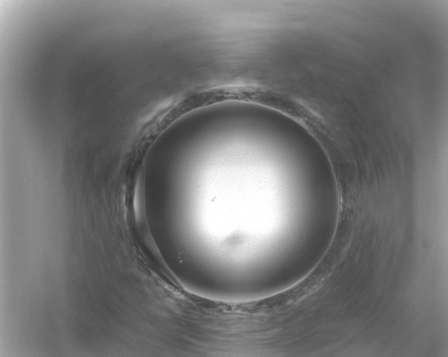X0000054451398200508051913