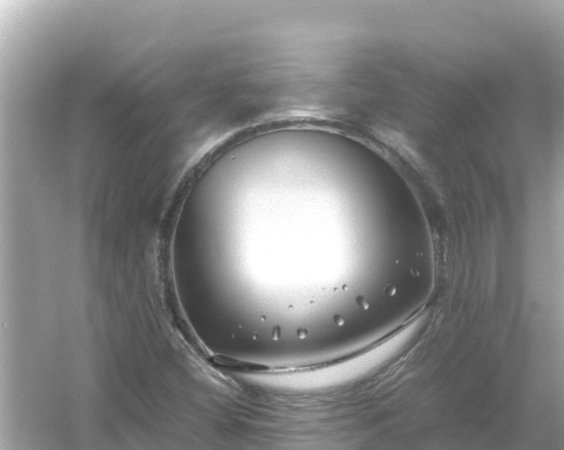 X0000054451404200508051913