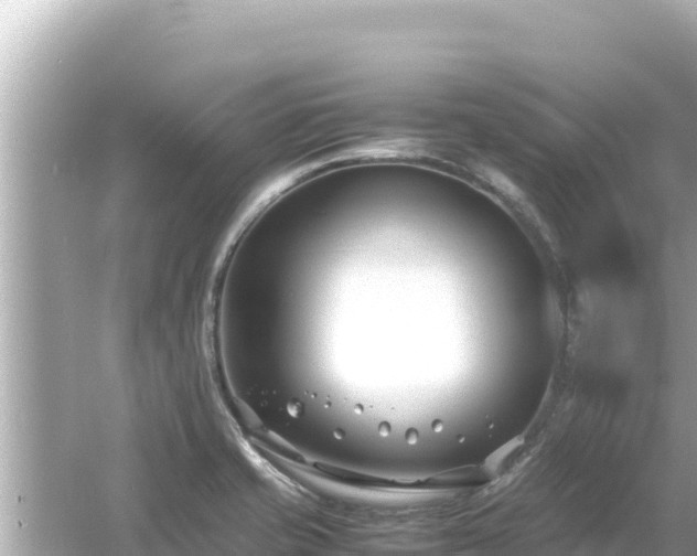 X0000054451421200508051913