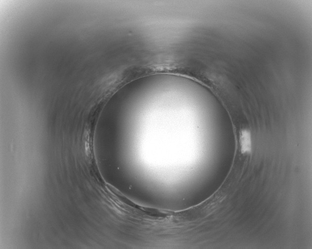 X0000054451444200508051912