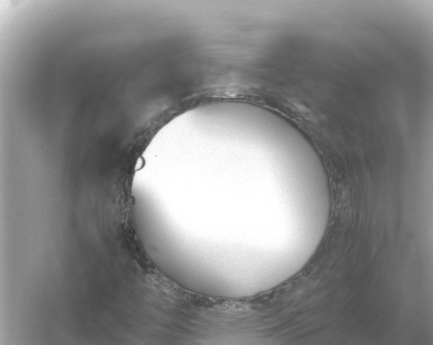 X0000054451446200508051912