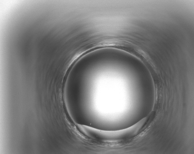 X0000054451465200508051912