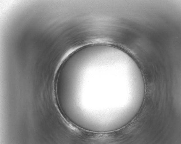 X0000054451470200508051912