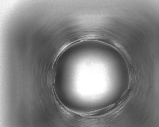 X0000054451473200508051912
