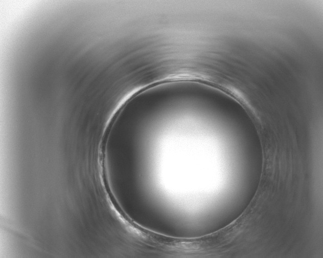 X0000054451476200508051912