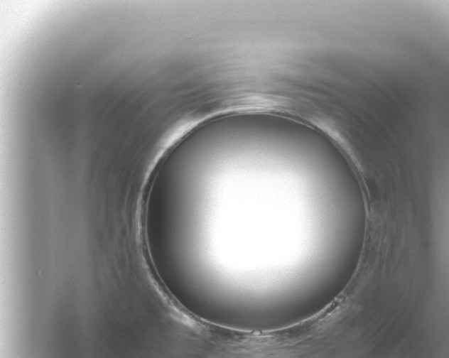 X0000054451477200508051912
