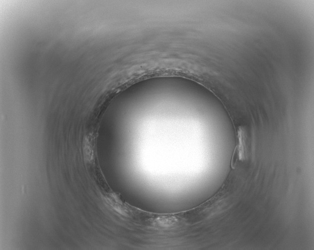 X0000054451491200508051911
