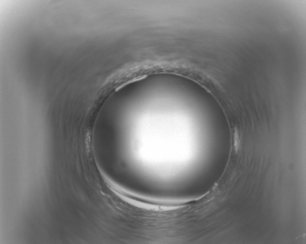X0000054451492200508051911