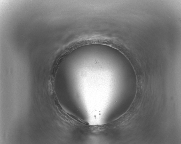 X0000054451493200508051911