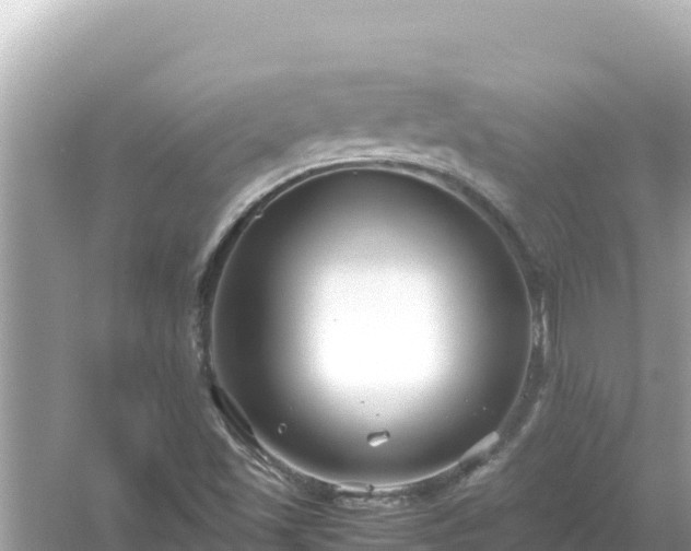 X0000054451501200508051911