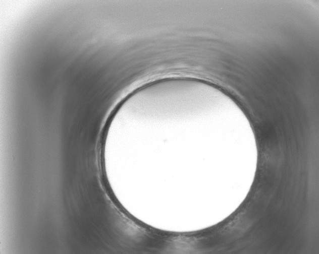 X0000054451514200508051911