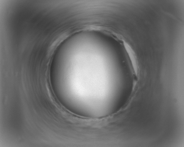 X0000054450001200508121923