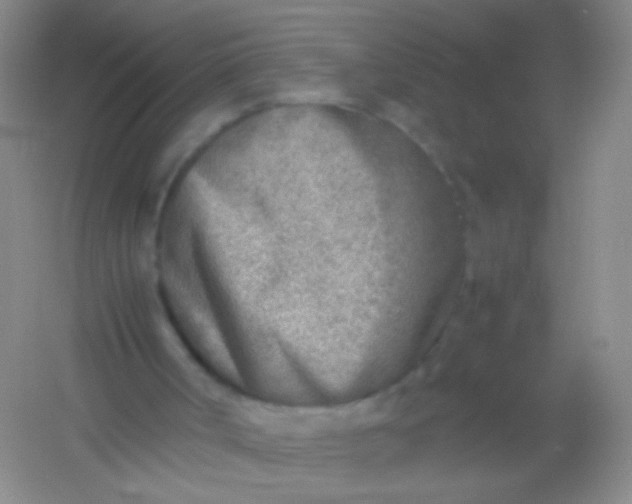 X0000054450002200508121923