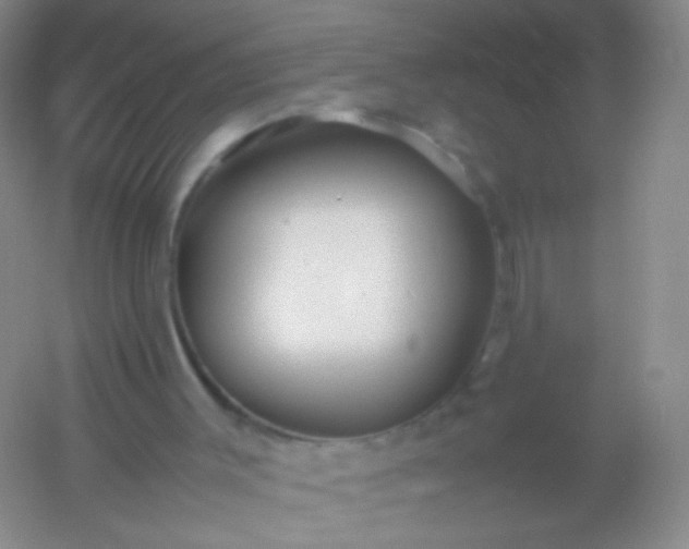 X0000054450003200508121923