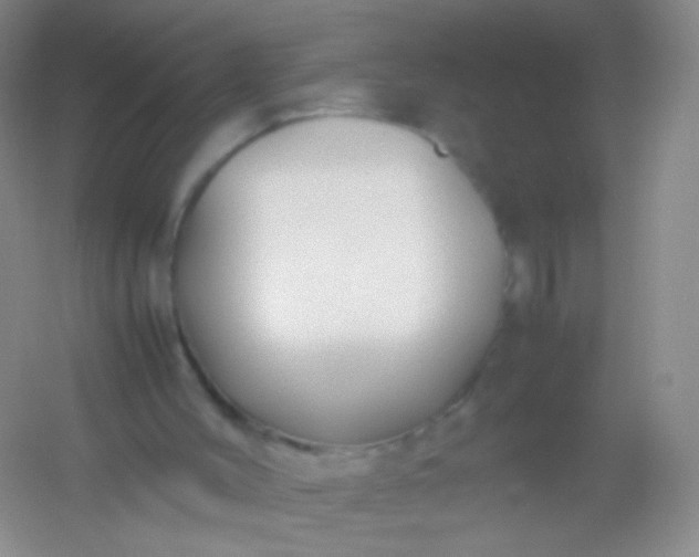 X0000054450004200508121923