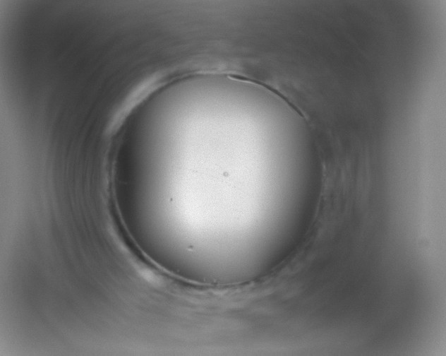 X0000054450005200508121923