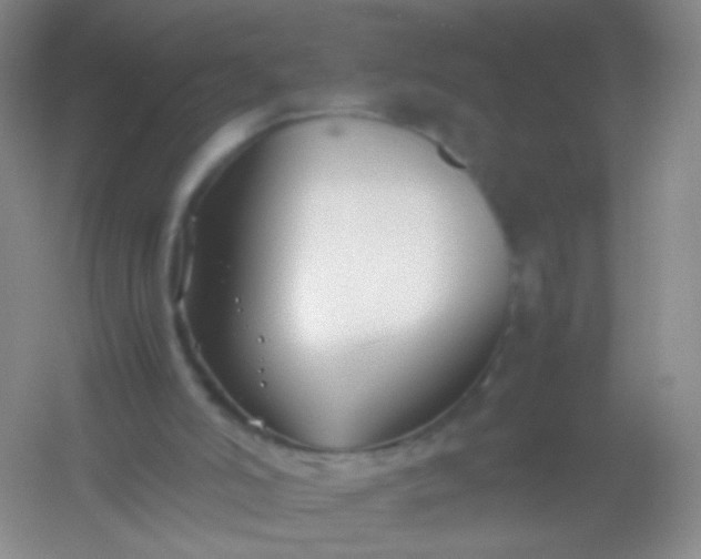 X0000054450006200508121923