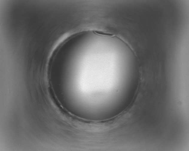 X0000054450008200508121923