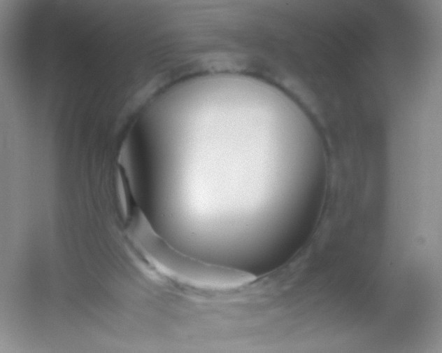 X0000054450009200508121923