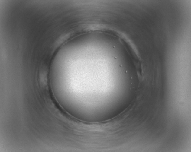 X0000054450010200508121923