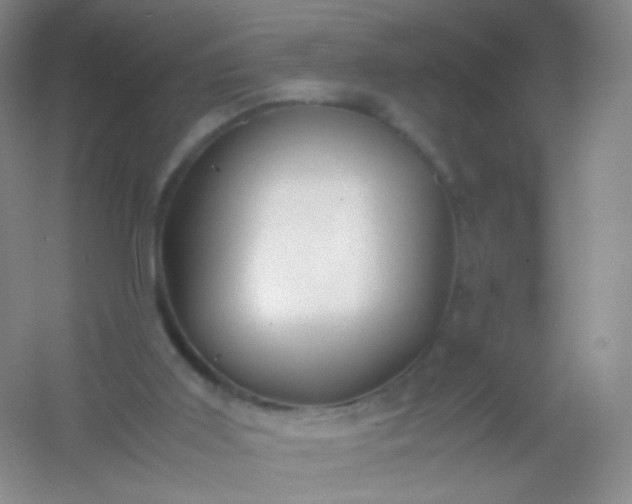 X0000054450011200508121923