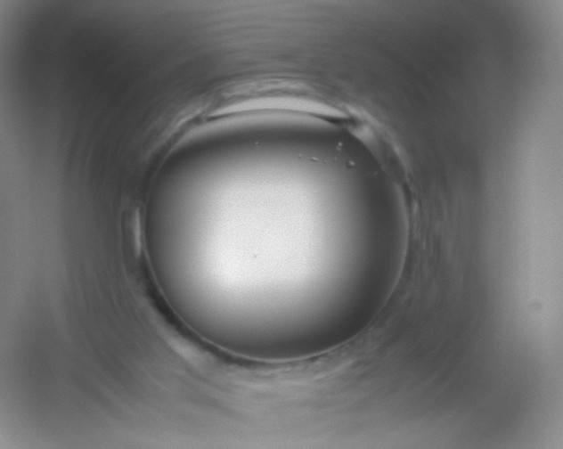 X0000054450013200508121923