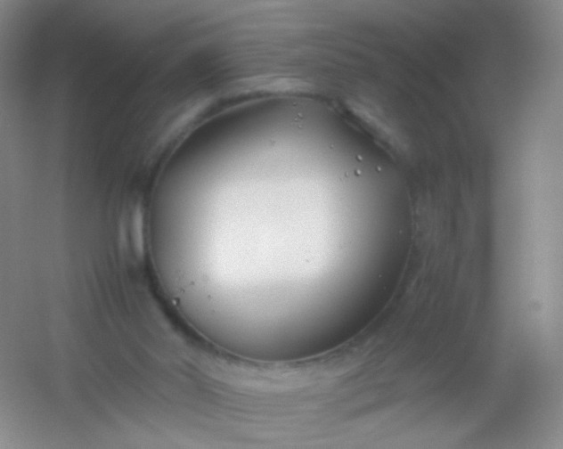X0000054450014200508121923