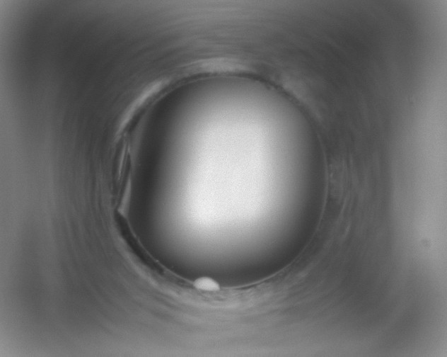 X0000054450015200508121923